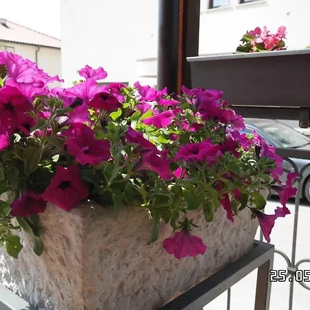 In Mit Grill, Terrasse Und Garten Und Panoramablick Novi Vinodolski